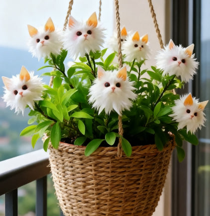 Varázslatos növények! Macskaszem-káprázatos sorozat✨