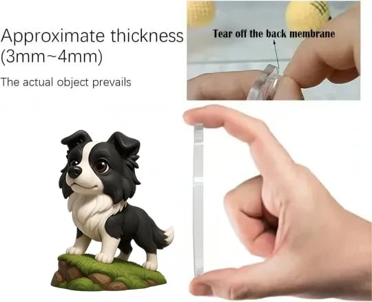 🐾Адвент календар за бордър коли 2025