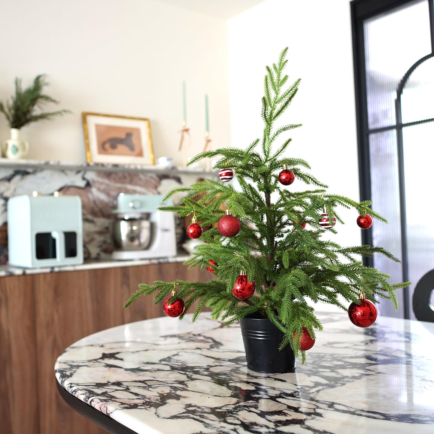 💥 19 BGN само днес! 🎄 Истински Норфолкски Бор – 50 см Коледна Елха 🎁 Перфектната елха за вашия дом на невероятна цена! Не пропускайте! ✨