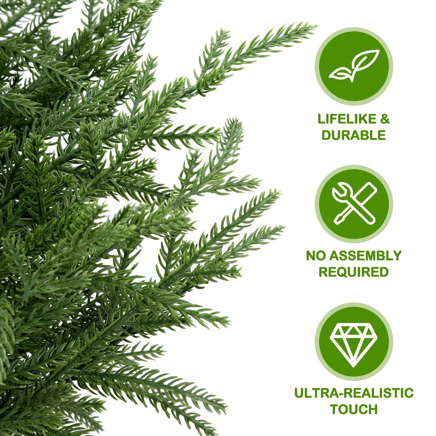 💥 19 BGN само днес! 🎄 Истински Норфолкски Бор – 50 см Коледна Елха 🎁 Перфектната елха за вашия дом на невероятна цена! Не пропускайте! ✨