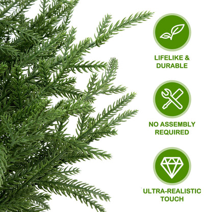 💥 19 BGN само днес! 🎄 Истински Норфолкски Бор – 50 см Коледна Елха 🎁 Перфектната елха за вашия дом на невероятна цена! Не пропускайте! ✨