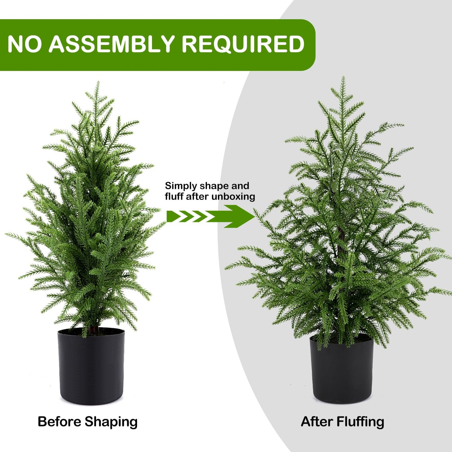 💥 19 BGN само днес! 🎄 Истински Норфолкски Бор – 50 см Коледна Елха 🎁 Перфектната елха за вашия дом на невероятна цена! Не пропускайте! ✨