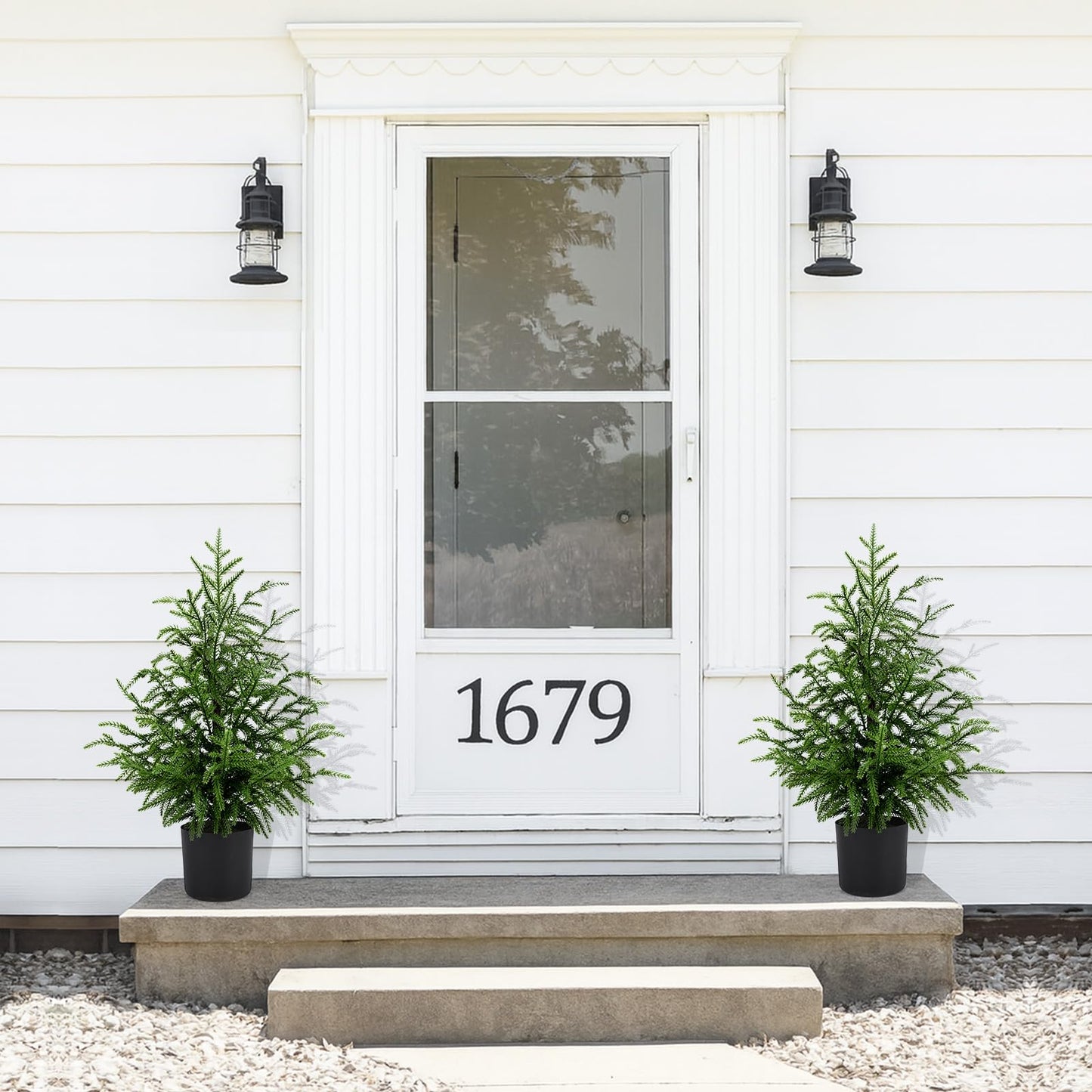 💥 19 BGN само днес! 🎄 Истински Норфолкски Бор – 50 см Коледна Елха 🎁 Перфектната елха за вашия дом на невероятна цена! Не пропускайте! ✨