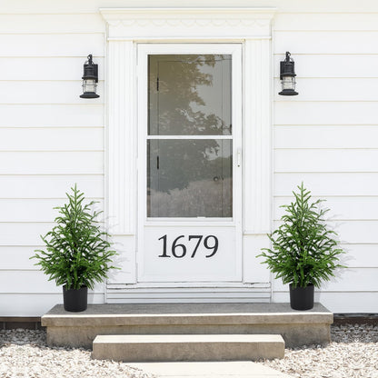 💥 19 BGN само днес! 🎄 Истински Норфолкски Бор – 50 см Коледна Елха 🎁 Перфектната елха за вашия дом на невероятна цена! Не пропускайте! ✨