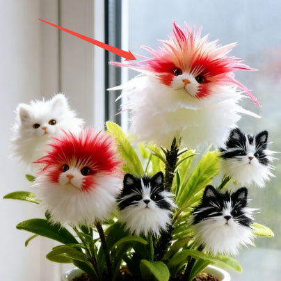 Varázslatos növények! Macskaszem-káprázatos sorozat✨