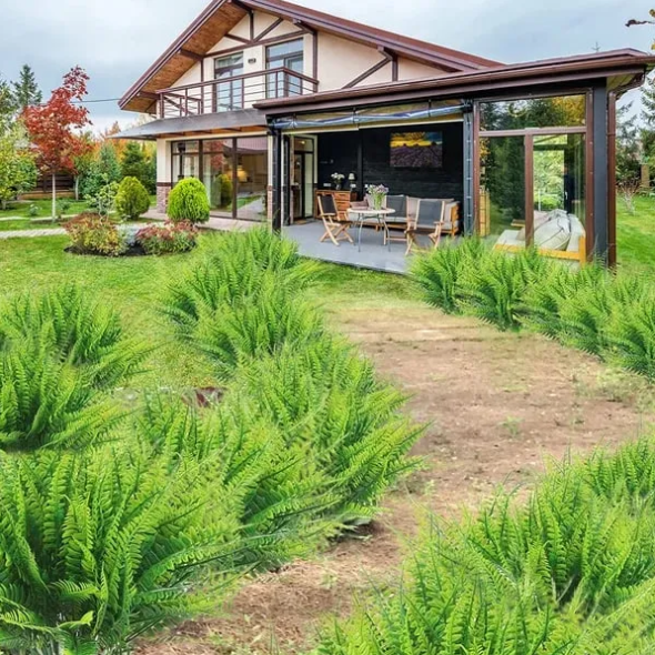 🌱 UV-устойчива изкуствена бостънска папрат, реалистична